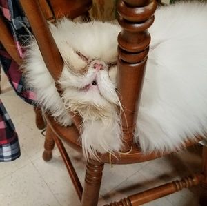 Meet your Posher, Heather