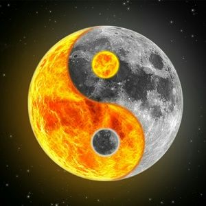 Meet your Posher, Brittney