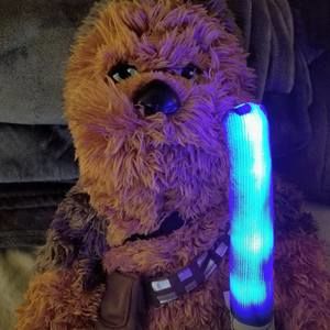 Meet your Posher, Jairo