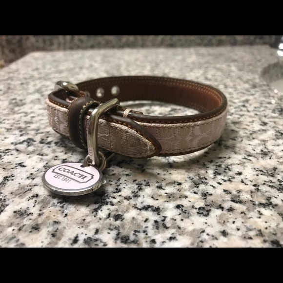 Coach Other Authentic Coach Dog Collar Xsmall 5 For Both Poshmark