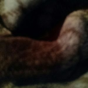 Meet your Posher, Cassidy