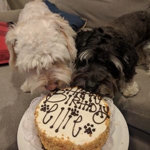 Meet your Posher, Maria