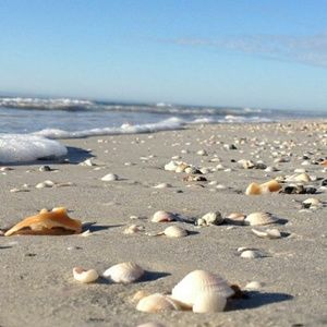 Meet your Posher, Dania