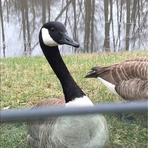 Meet your Posher, Heidi