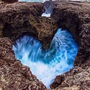 Meet your Posher, Dalton