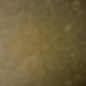 Meet your Posher, Cynthia