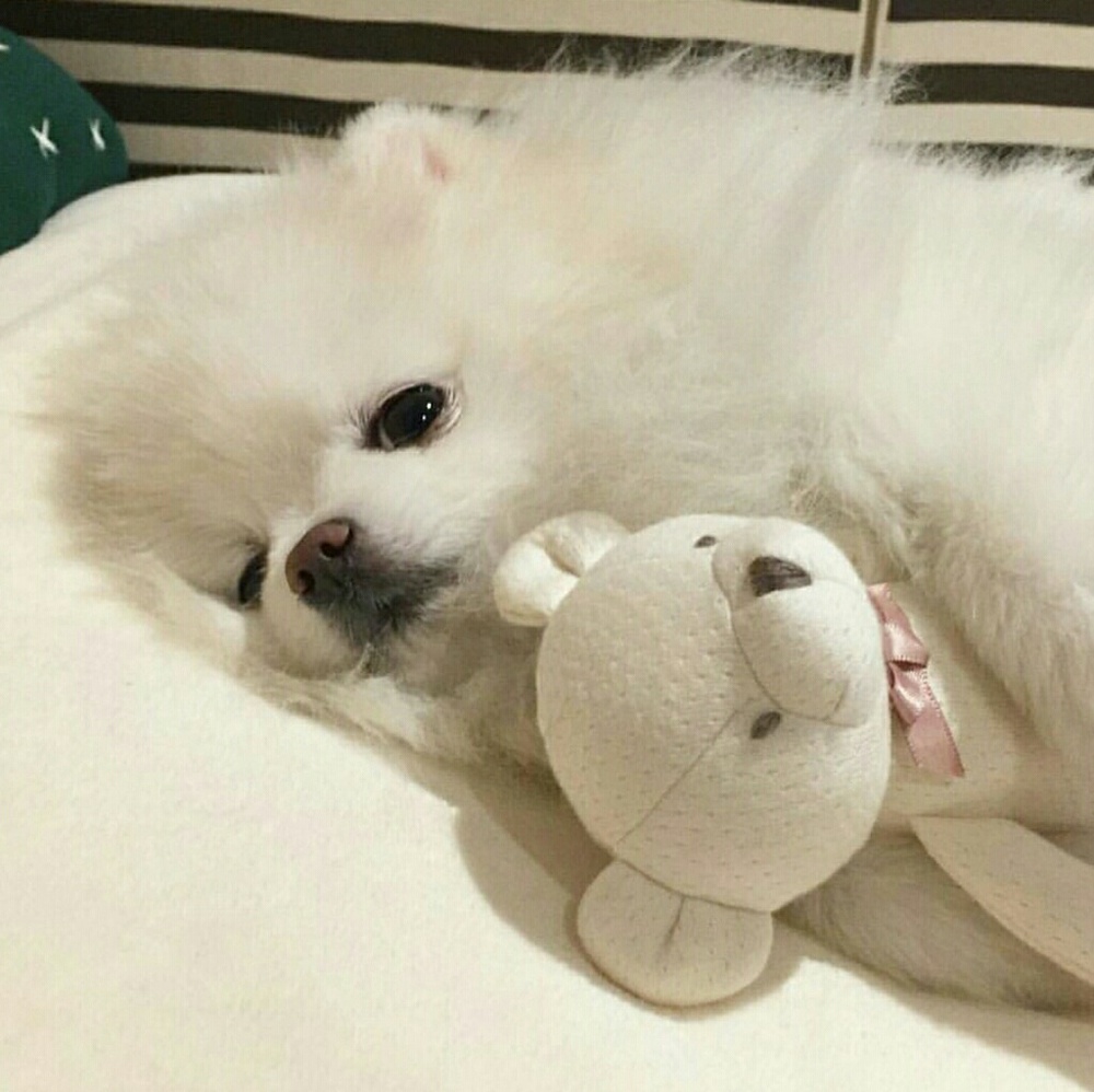 Meet your Posher, Gloria