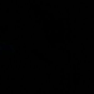 Meet your Posher, Shaunsay