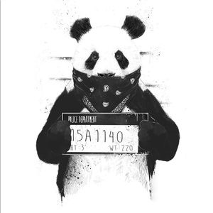 Meet your Posher, Logan