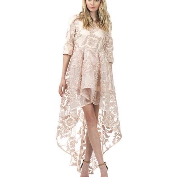 Beautiful Elegant Lace Nude High/Low Gown Dress!!! - Picture 2 of 5