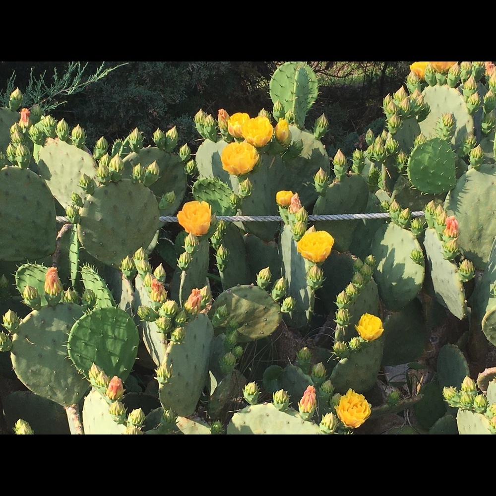 Meet your Posher, Laurie