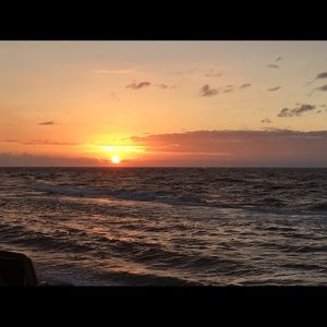 Meet your Posher, Bridget