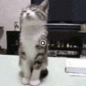 Meet your Posher, Aleema