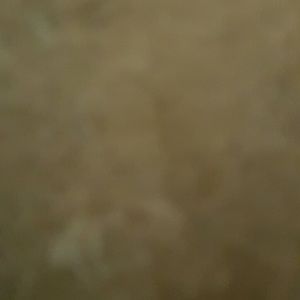 Meet your Posher, Mariely