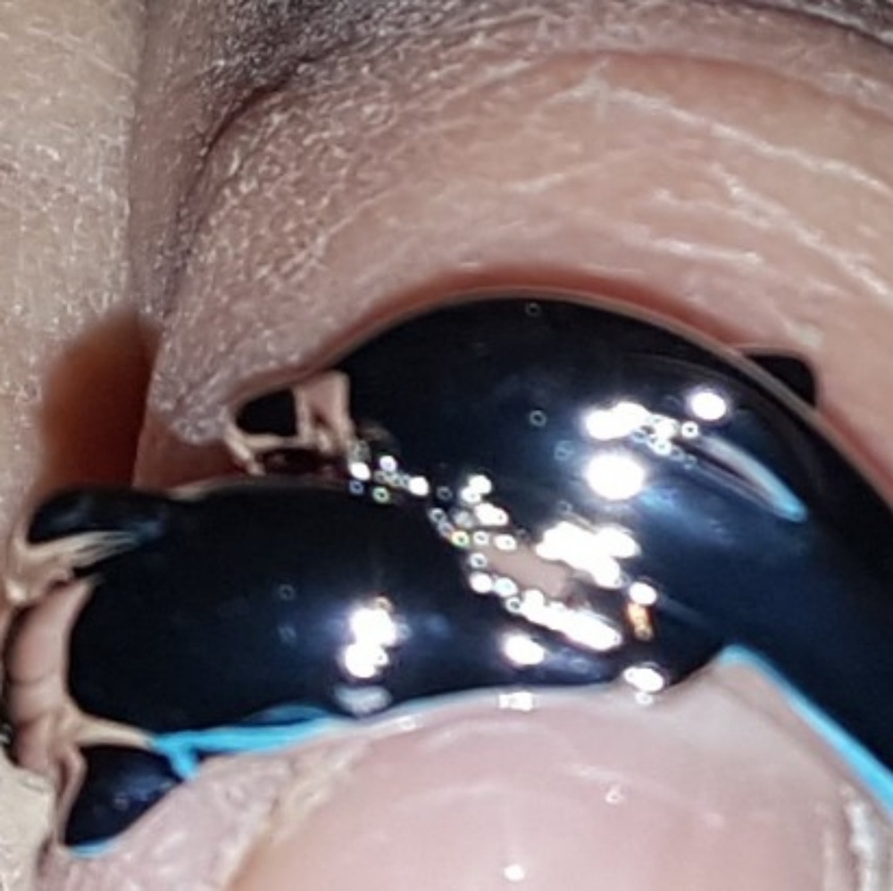 Dolphin ring - Picture 3 of 3