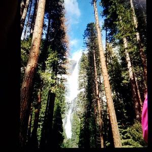 Meet your Posher, Luz