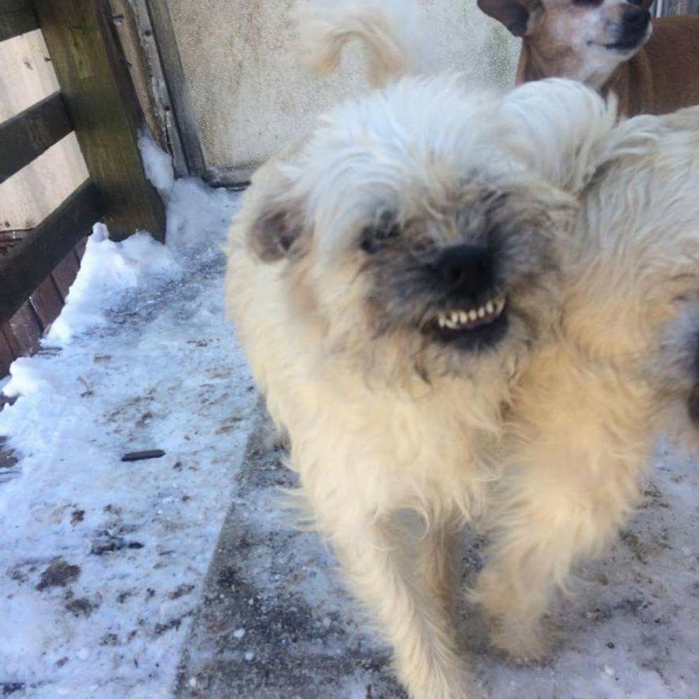 Meet your Posher, Peggyallen329@gmail.com