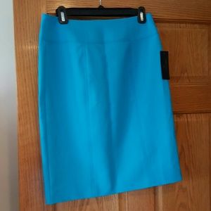 Worthington Fresh Blue lined skirt. Sz 6. NWT