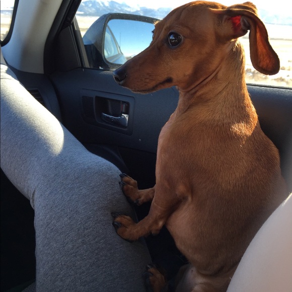 Meet your Posher, KaraπΊ - Picture 7 of 8