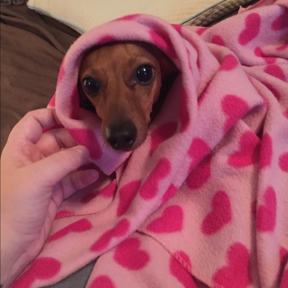 Meet your Posher, KaraπΊ - Picture 8 of 8