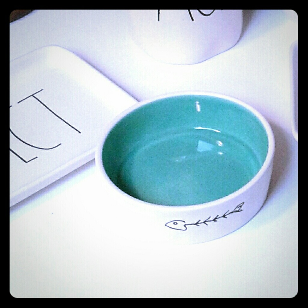 Rae Dunn Cat bowl