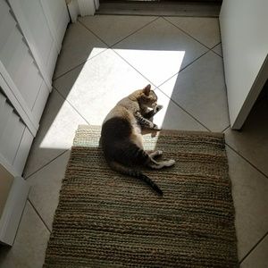 Meet your Posher, Dori