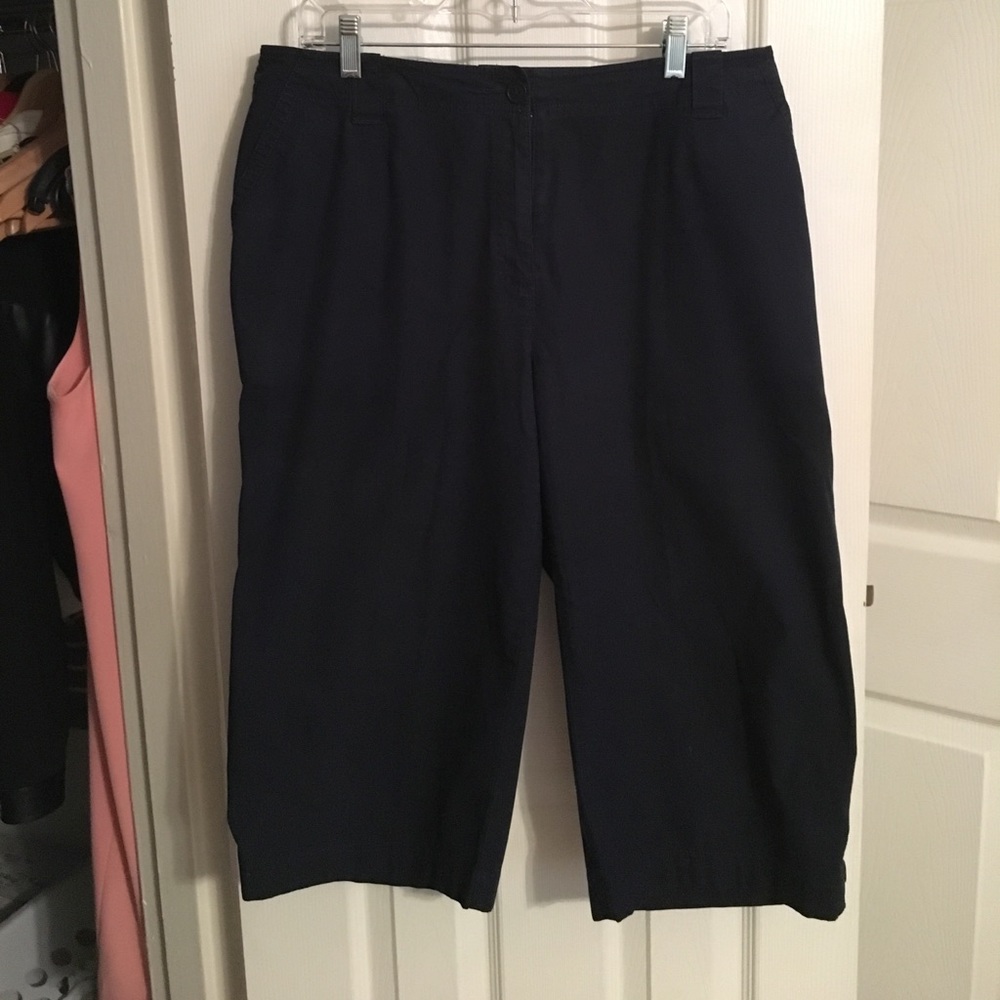 Talbots Women's Petite Capri Pants, Navy