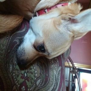 Meet your Posher, Terri