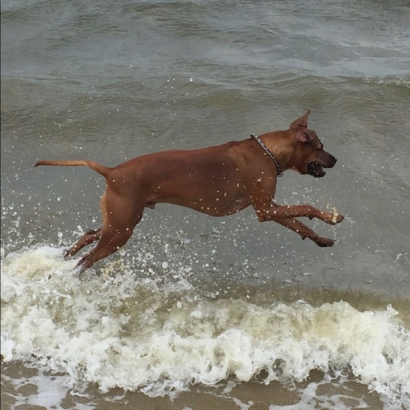 Meet your Posher, Kelly - Picture 4 of 5