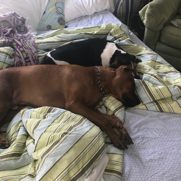 Meet your Posher, Kelly - Picture 5 of 5