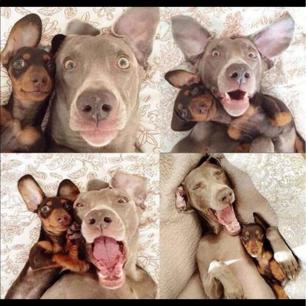 Me & You!!   HAPPY POSH Partners!  😊