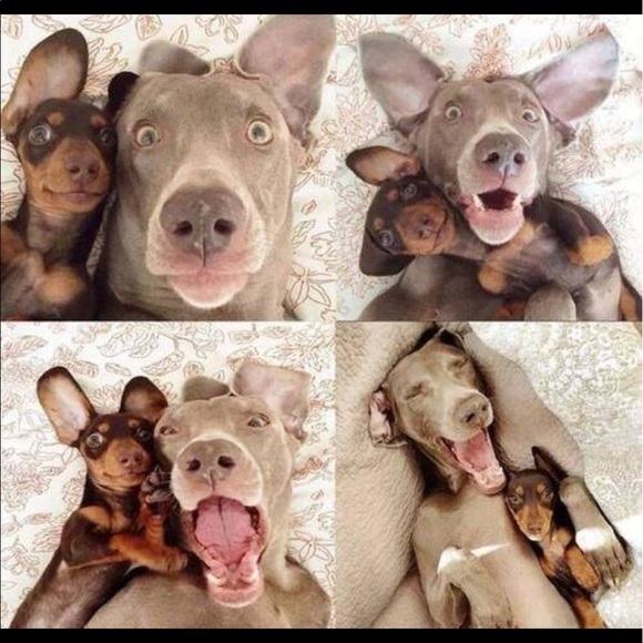 Me & You!!   HAPPY POSH Partners!  😊 - Picture 1 of 1