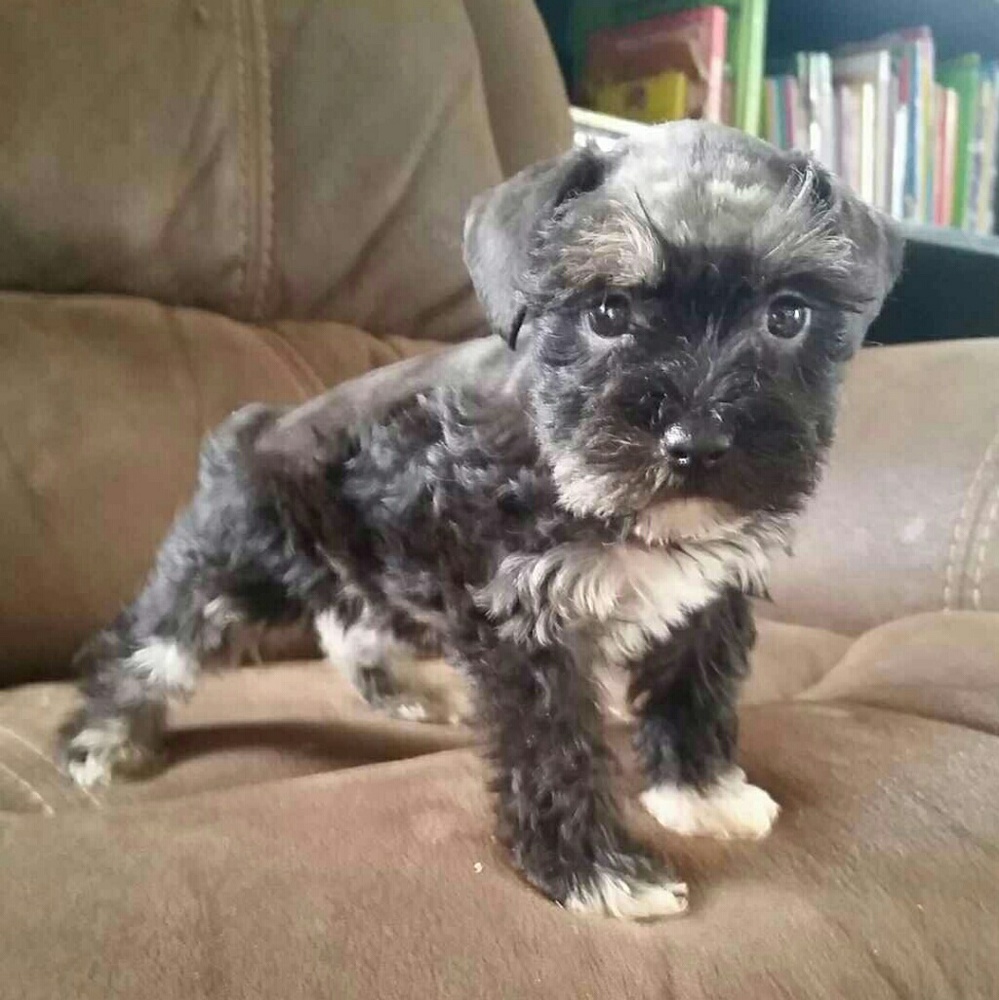 Meet your Posher, Kaci