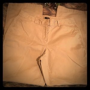 Ann Taylor petite curvy 10p