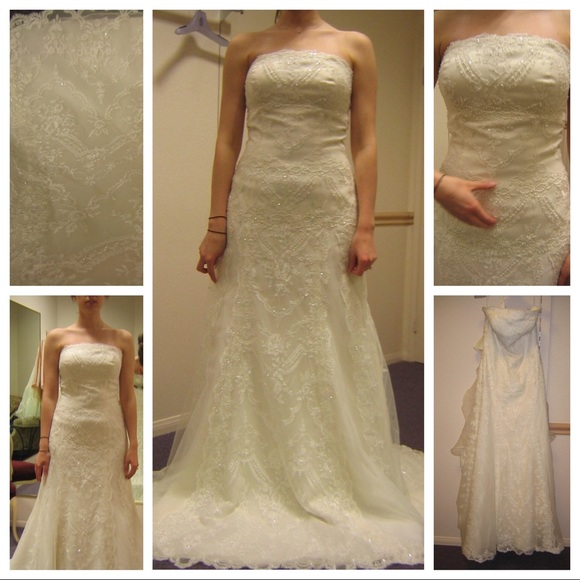 Pronovias Lace Wedding Dress