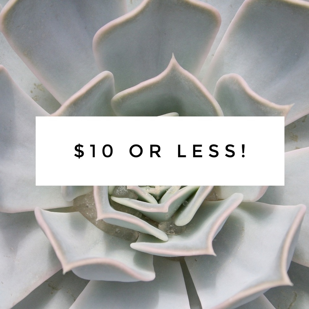 $10 or less!