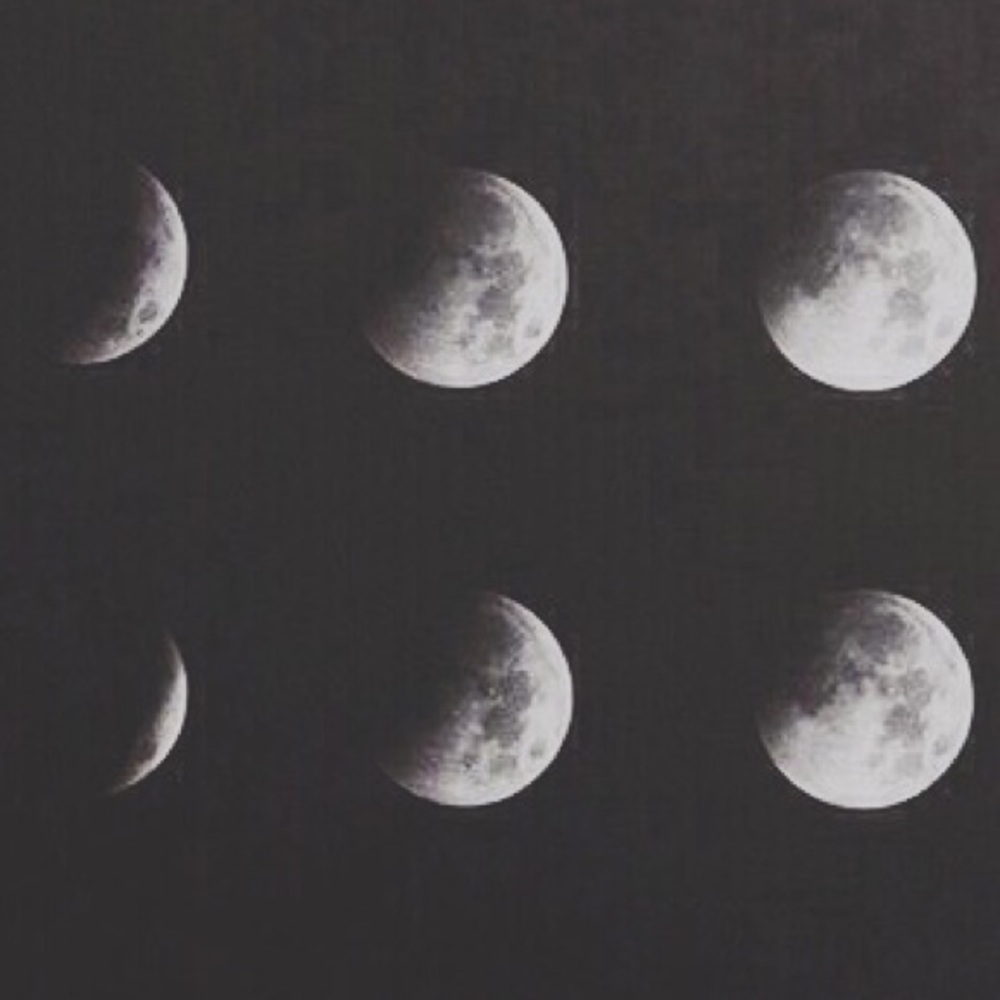 Meet your Posher, Alicia