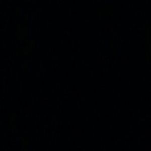 Meet your Posher, Franzoa