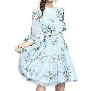 Light blue Floral chiffon dress
