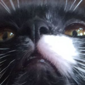 Meet your Posher, Ashli