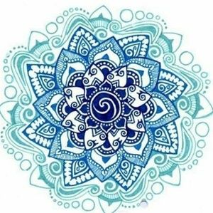 Meet your Posher, Misty