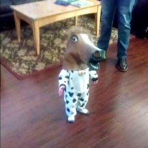 Meet your Posher, Jose