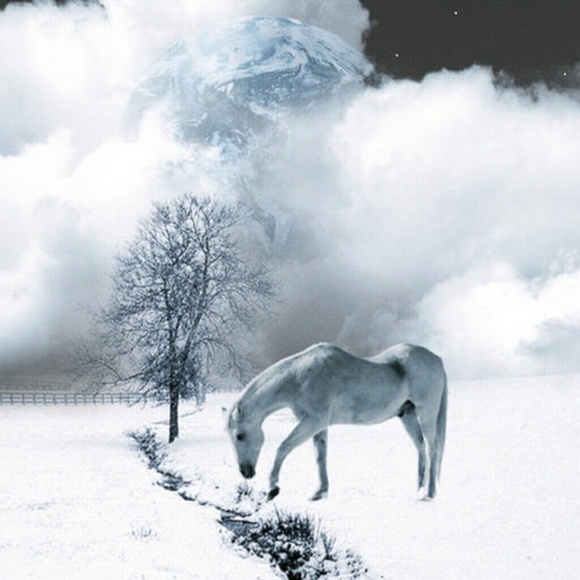 Louis Vuitton Handbags - Reserved trade