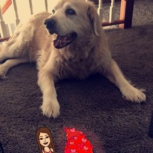 Meet your Posher, Lilly