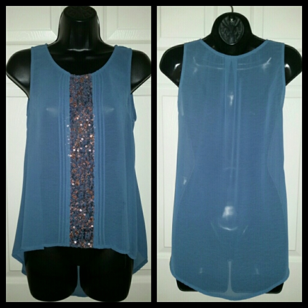 Sheer blue/brown top