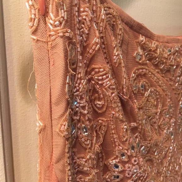 Blush/Ballet Pink Tracy Reese Beaded Skirt