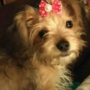 Meet your Posher, Deborah