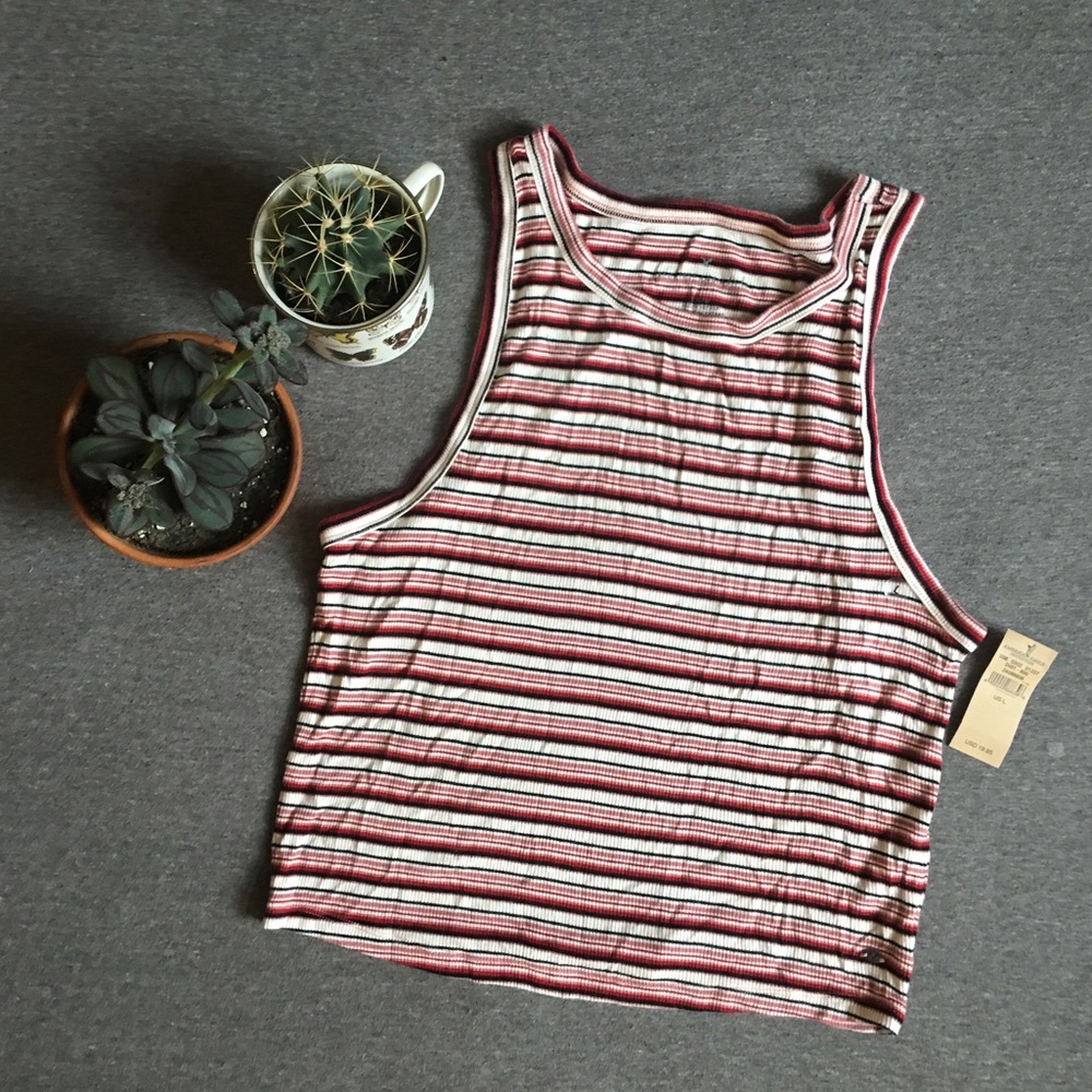 NWT AMERICAN EAGLE Retro Striped Tank