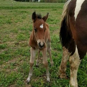 Meet your Posher, Tina