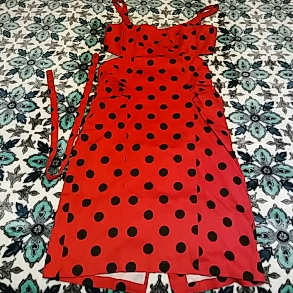 Pin-up style dress still in original package